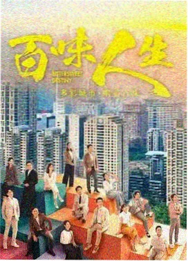 社内相亲韩剧在线观看 高清